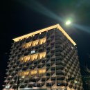 케이트리 K-TREE | 일산 호텔 킨텍스 바이 케이트리 호텔 스탠다드 트윈룸 후기 KINTEX by K-TREE