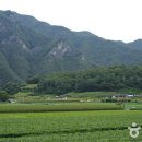 옥동양어장 횟집 이미지