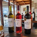 5085 | 포르투 한국어 LOTUS 도우루밸리 와이너리 투어 3편｜D’Origem Museu do Azeite 올리브유·와인 체험 후기