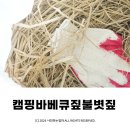 친환경볏짚 캠핑삼겹살바베큐용 짚불 지푸라기 네이멀 ⓒ ᴍᴏᴀ sᴛᴏʀʏ