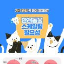 해온동물병원 이미지