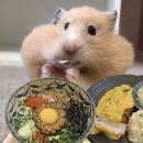 아리수로 | 📍 하남 돈까스 맛집 찾는다면? 백소정 하남미사점 !(솔직후기)