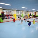MTA태권도 이미지