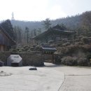 도초 만년사 네이버블로그
