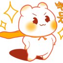 인지정 이미지