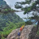 출렁다리(4) 이미지