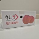 최강자농장 이미지