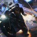 프리독스 이미지