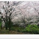 봉성산 공원 이미지