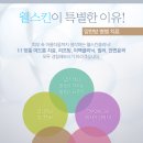 웰스킨 이미지