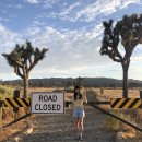 해피트리공원 테니스장 | 조슈아트리 국립공원 투어 코스 총정리｜별 보는 시간 여행 꿀팁까지 한 번에!