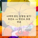 퍼포먼스마스터