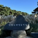 안면도자연휴양림 이미지