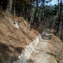 돌 다무락 Daum카페