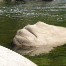 요선정 이미지