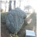 항도회센타 | 부산 갈맷길(13. 1.26) 트레킹과 맛기행
