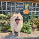 하림식당 이미지