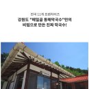 메밀골동해막국수강문 | 이런 메밀막국수도 있었구나! 메밀골 동해막국수 솔직 리뷰