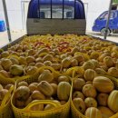 빈이네농장 이미지