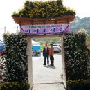 충도3리(상양) 이미지