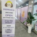 대성유치원 이미지