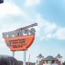 화상천로 | 양양 막국수 맛집 추천 입암메밀타운 58년전통 수육 솔직후기 대형주차장 반려견동반