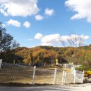 박순호의 아이슬란드 이미지