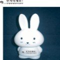 황금돼지꿈나라