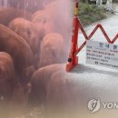 진범 농장 이미지