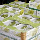 샤인스타트 이미지