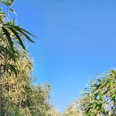 수산3리 이미지