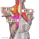 맨몸PT밴드운동 이미지