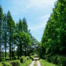 오방길(산성길) 이미지