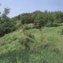 서천 건지산성 이미지