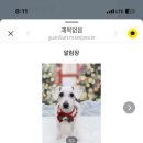 팔레트멍 이미지