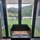 감산 | [경기도/가평] 애견펜션 &#39;비비&amp;숑숑 반려견펜션&#39; 8월, 풀빌라, 가평애견동반펜션 방문후기 #감돈감산