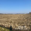 군산시-00003 이미지