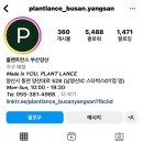 플랜트란스부산;양산