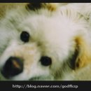 휴식 Ⅰ 이미지