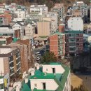 남초탕 Daum카페