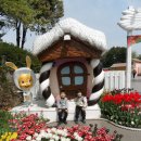 쌍림초교병설유치원 이미지