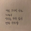 다죠아 이미지
