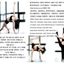 경희테라피요가
