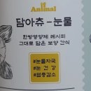 ○○씨티홈 태양광발전소 | 서울대출신, 상암월드컵경기장 7월 경기일정플랜, 홈플러스 정상영업 위치 상권 마트 물건, 동부묵 효능...
