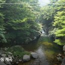 삼정야영장 화장실 이미지