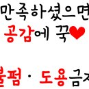플레이하운드 | 24.04.19 영종도 플레이하운드