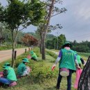 새마을로 이미지