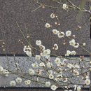 금오초등학교 이미지