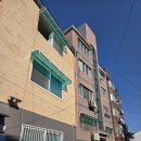 광성비디오 이미지