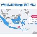 엠인터내셔널 이미지